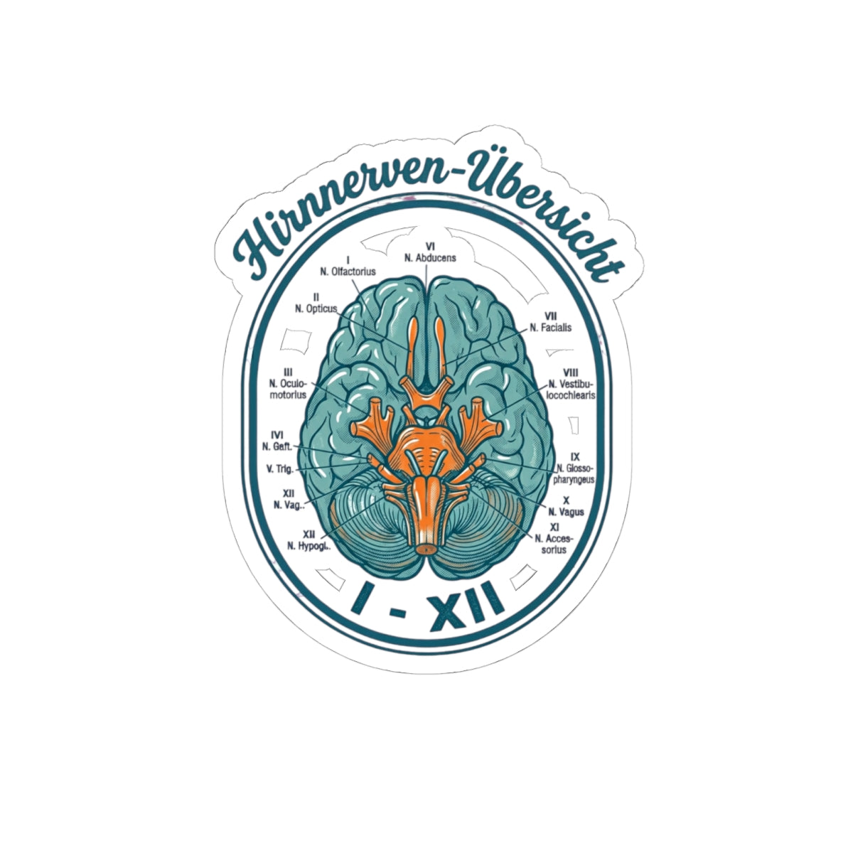 Anatomical Brain Illustration Kiss-Cut Stickers | Book Girl Summer, Literary Aesthetic