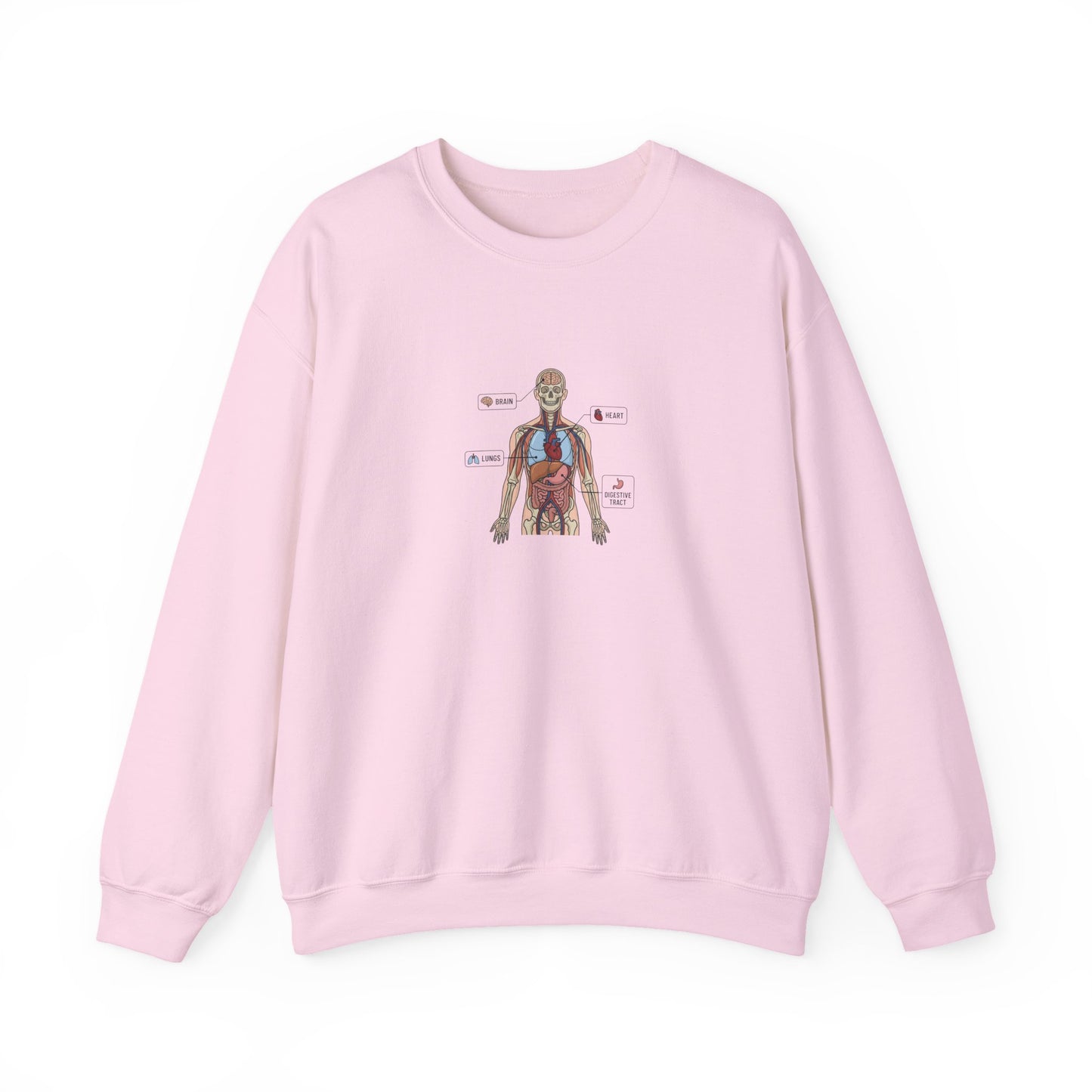 Anatomy Study Crewneck Sweatshirt — Human Anatomy Diagram for Medical Students