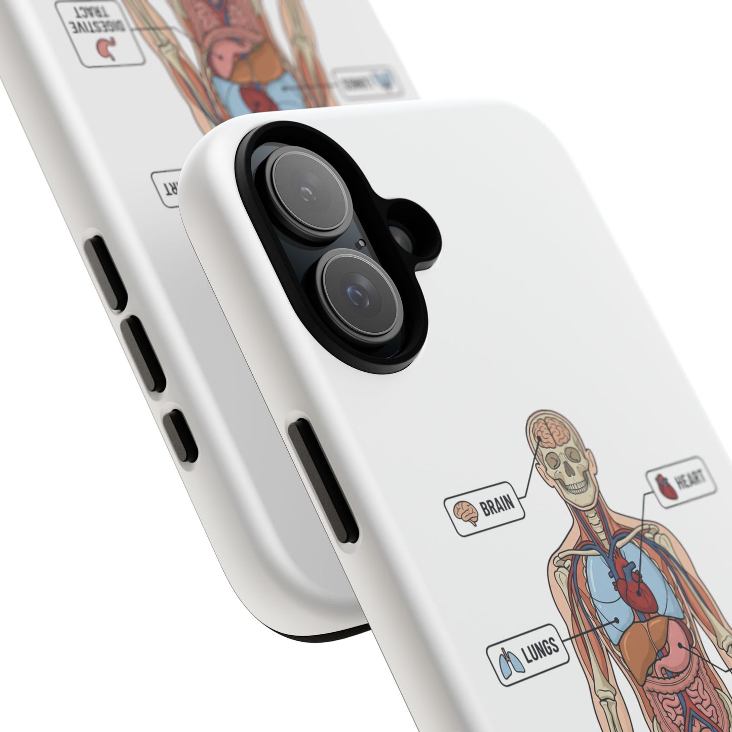Anatomy Case — Medical Student Human Anatomy Study Aid
