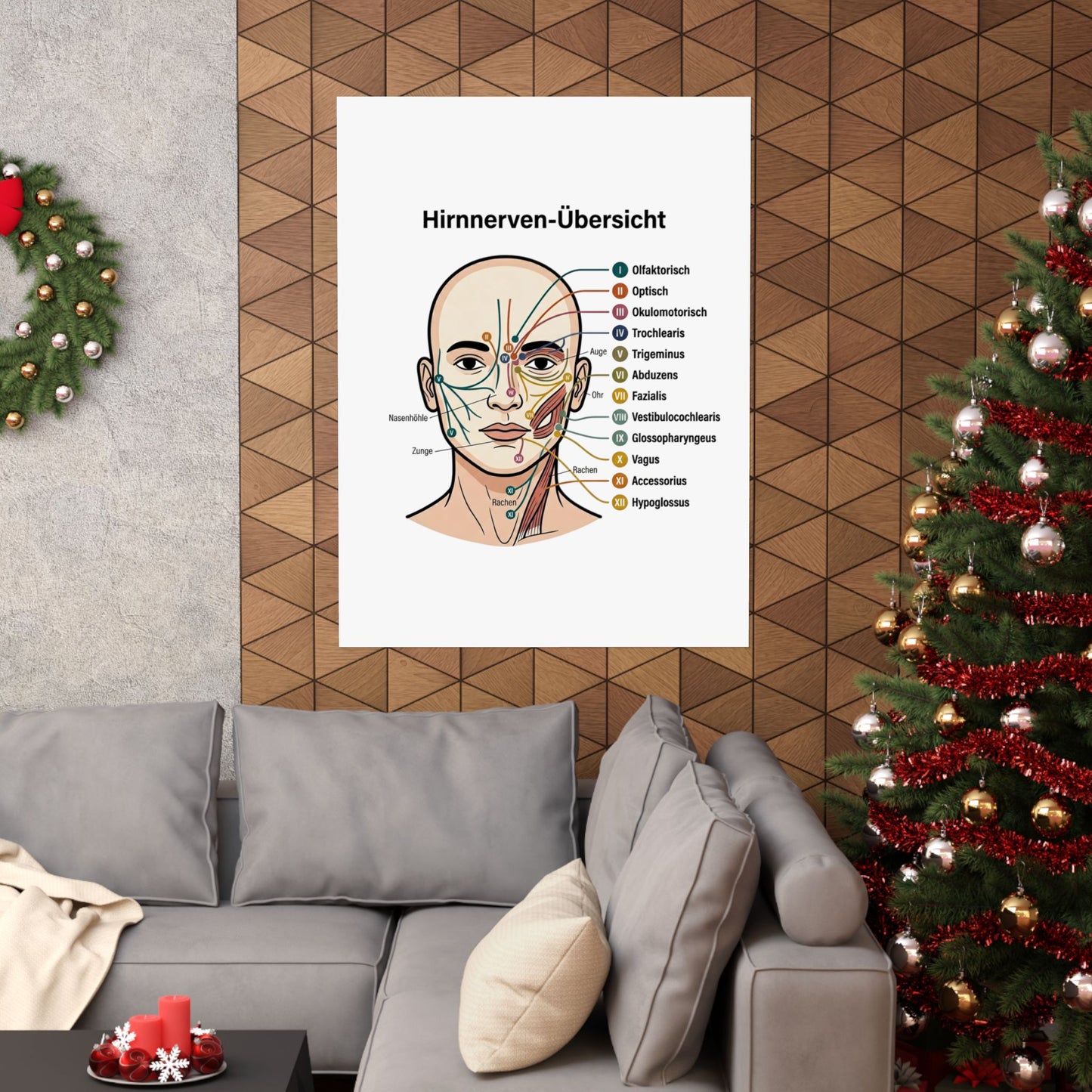 Anatomy Poster — Hirnnerven-Übersicht Matte Vertical Poster
