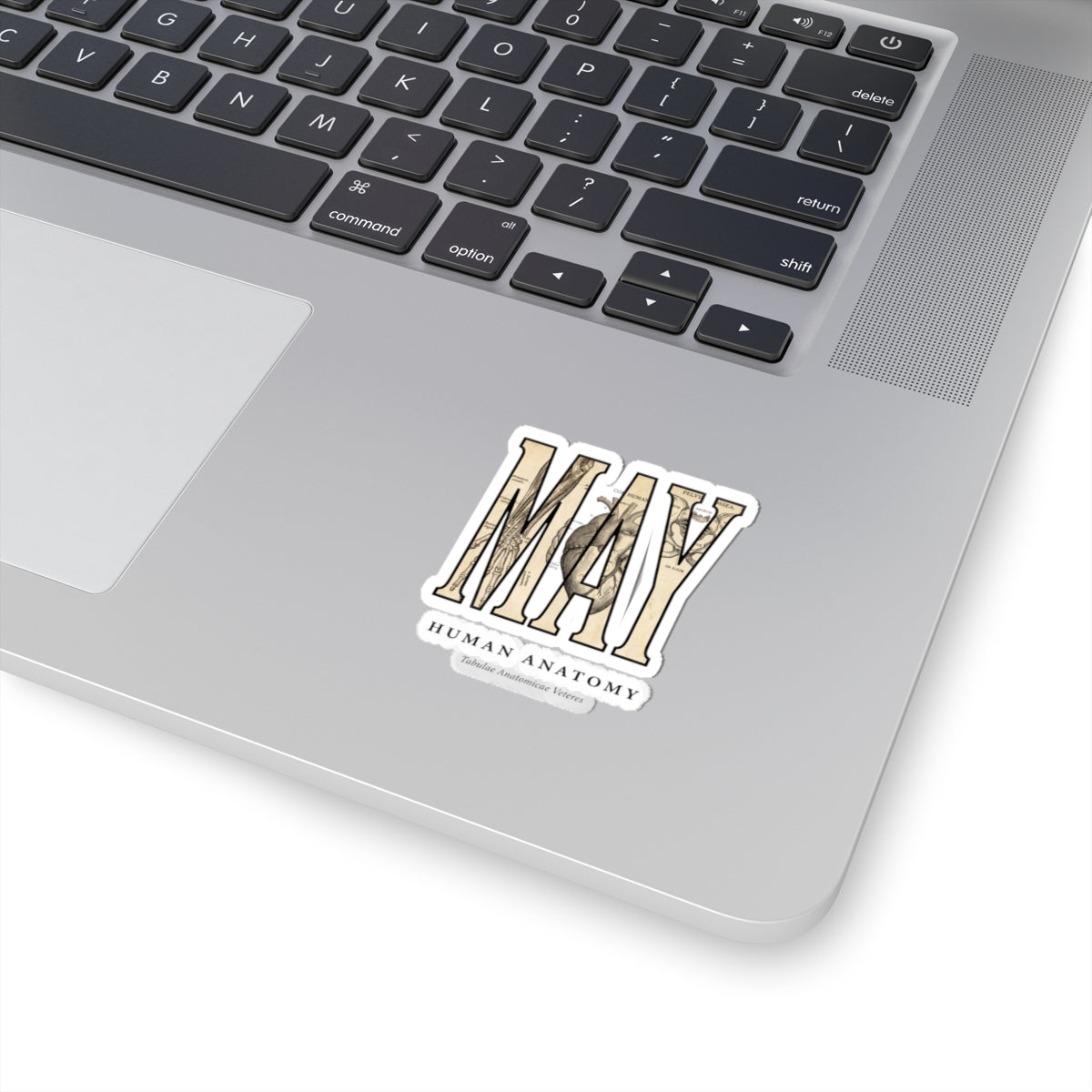 May Birth Flower Sticker | Botanical Birth Month, Vintage Floral Illustration