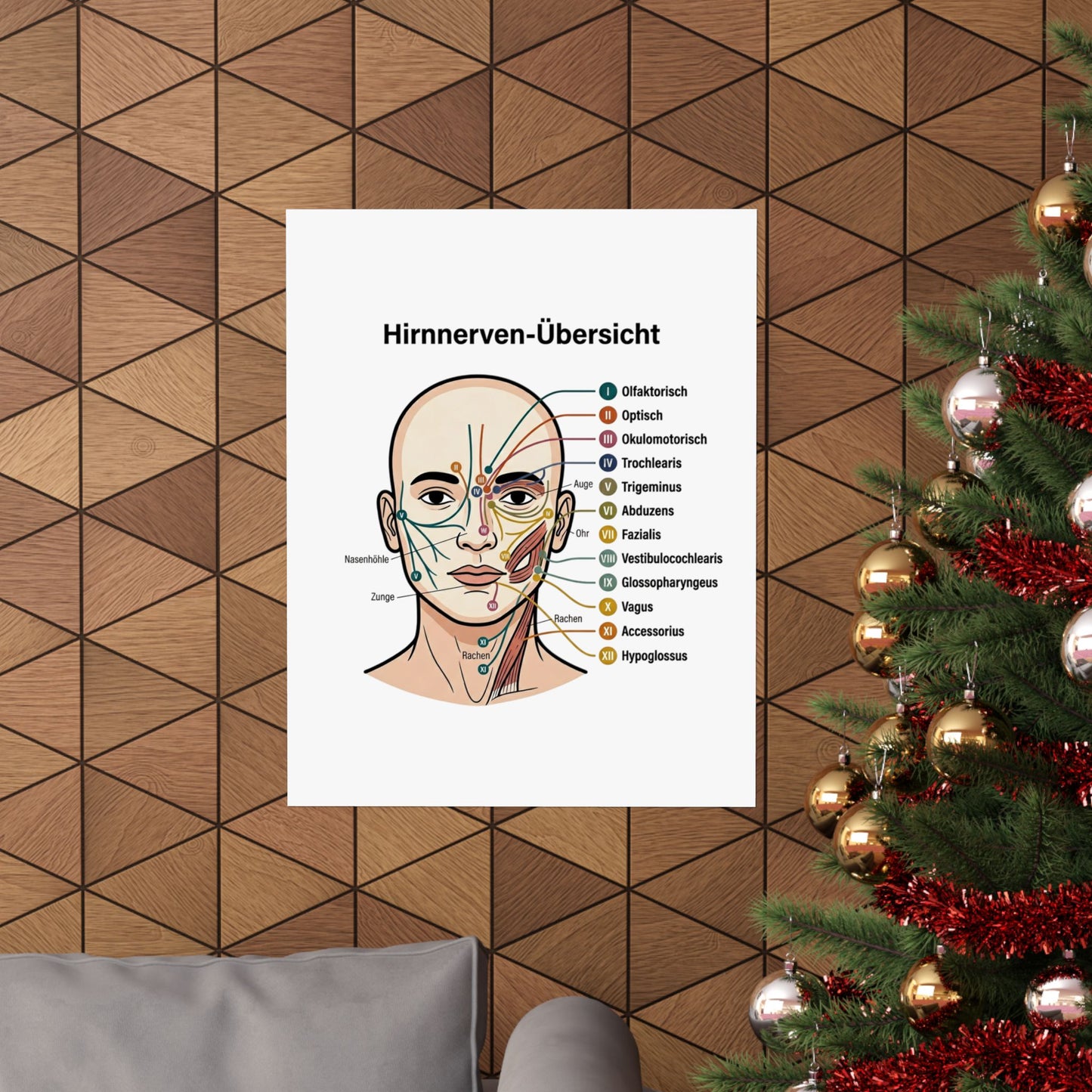 Anatomy Poster — Hirnnerven-Übersicht Matte Vertical Poster