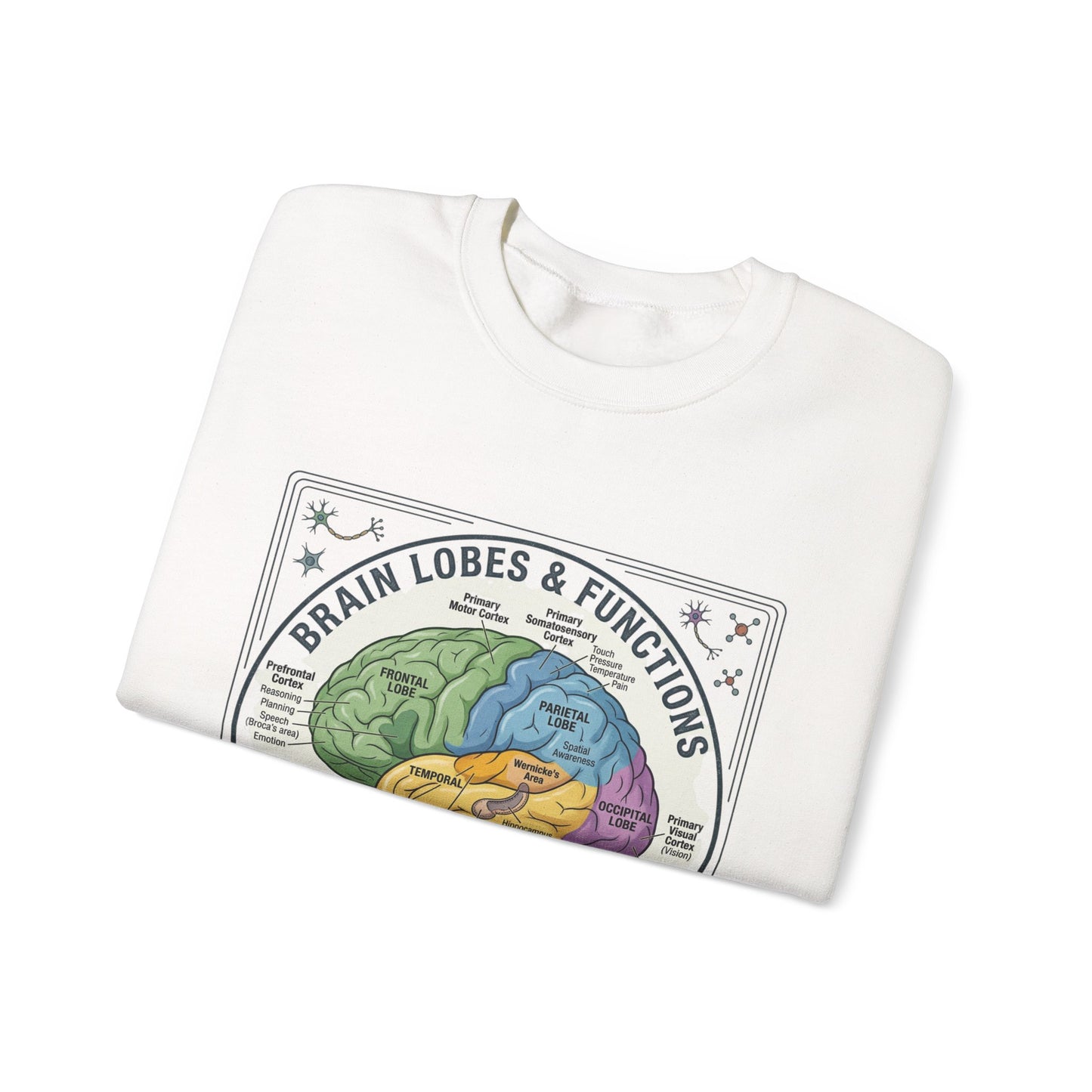 Brain Lobes Diagram Sweatshirt | 250th 4th of July Patriotic Milestone