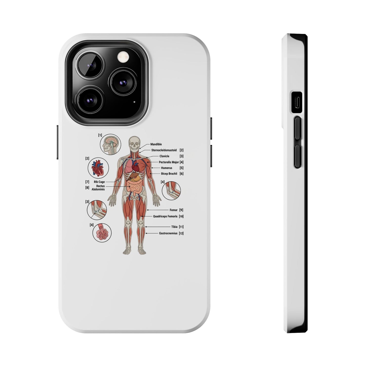 Anatomy Study Phone Case — Human Anatomy Diagram for Medical Students