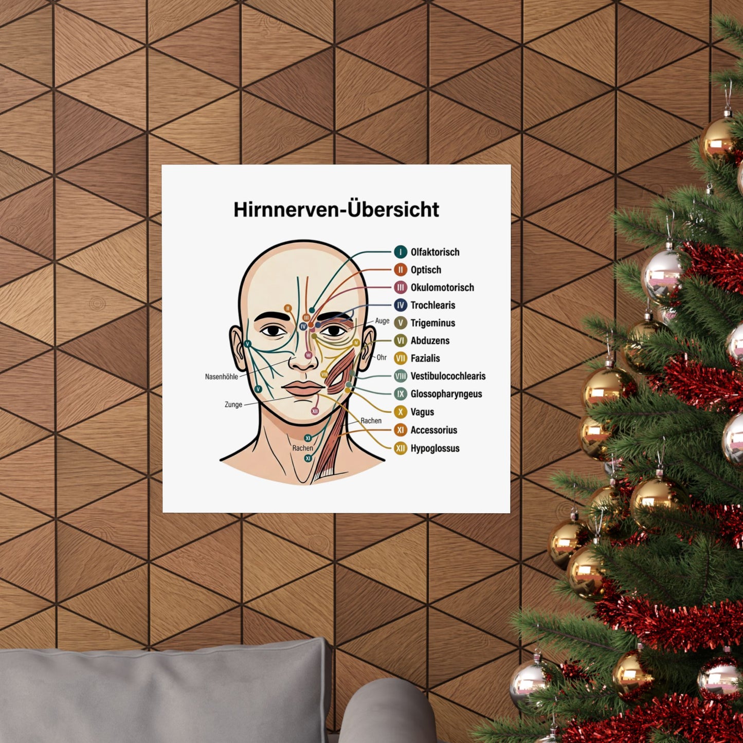 Anatomy Poster — Hirnnerven-Übersicht Matte Vertical Poster