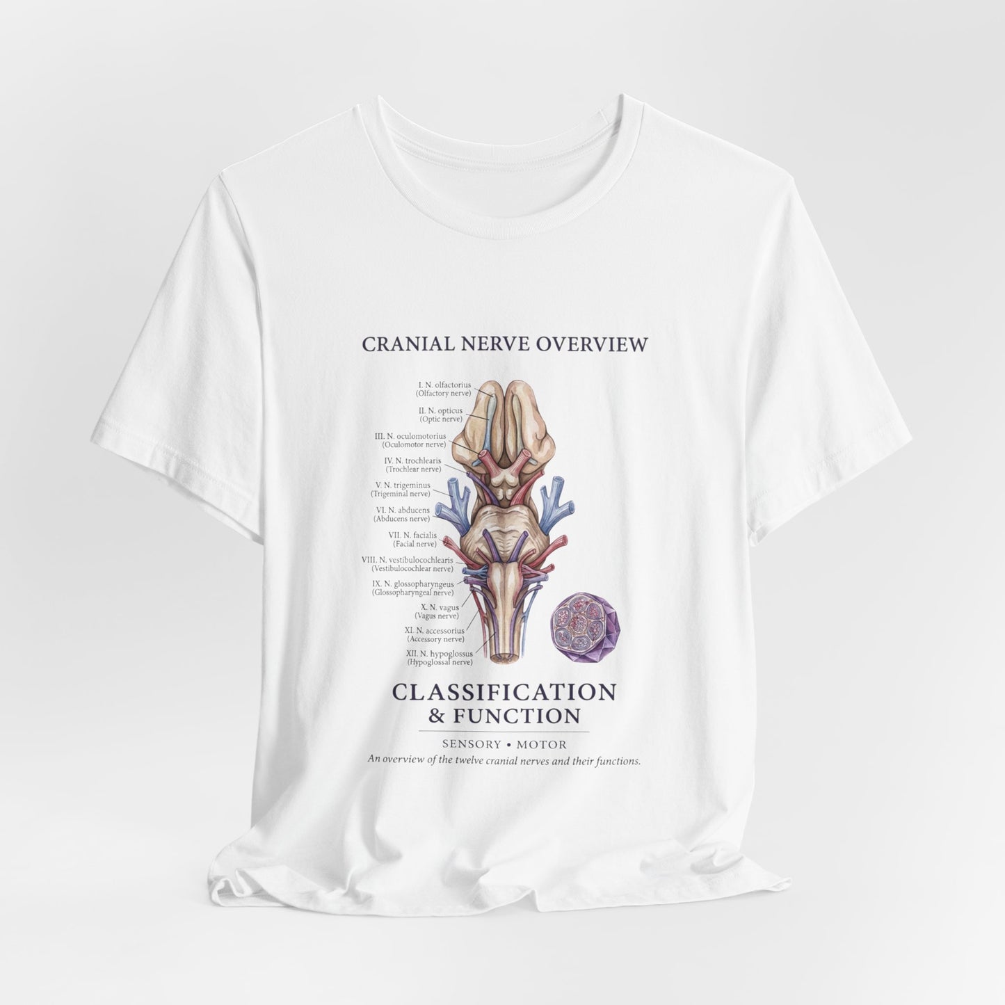Cranial Nerve Anatomy Tee | Botanical Medical Illustration, Birth Flower Style