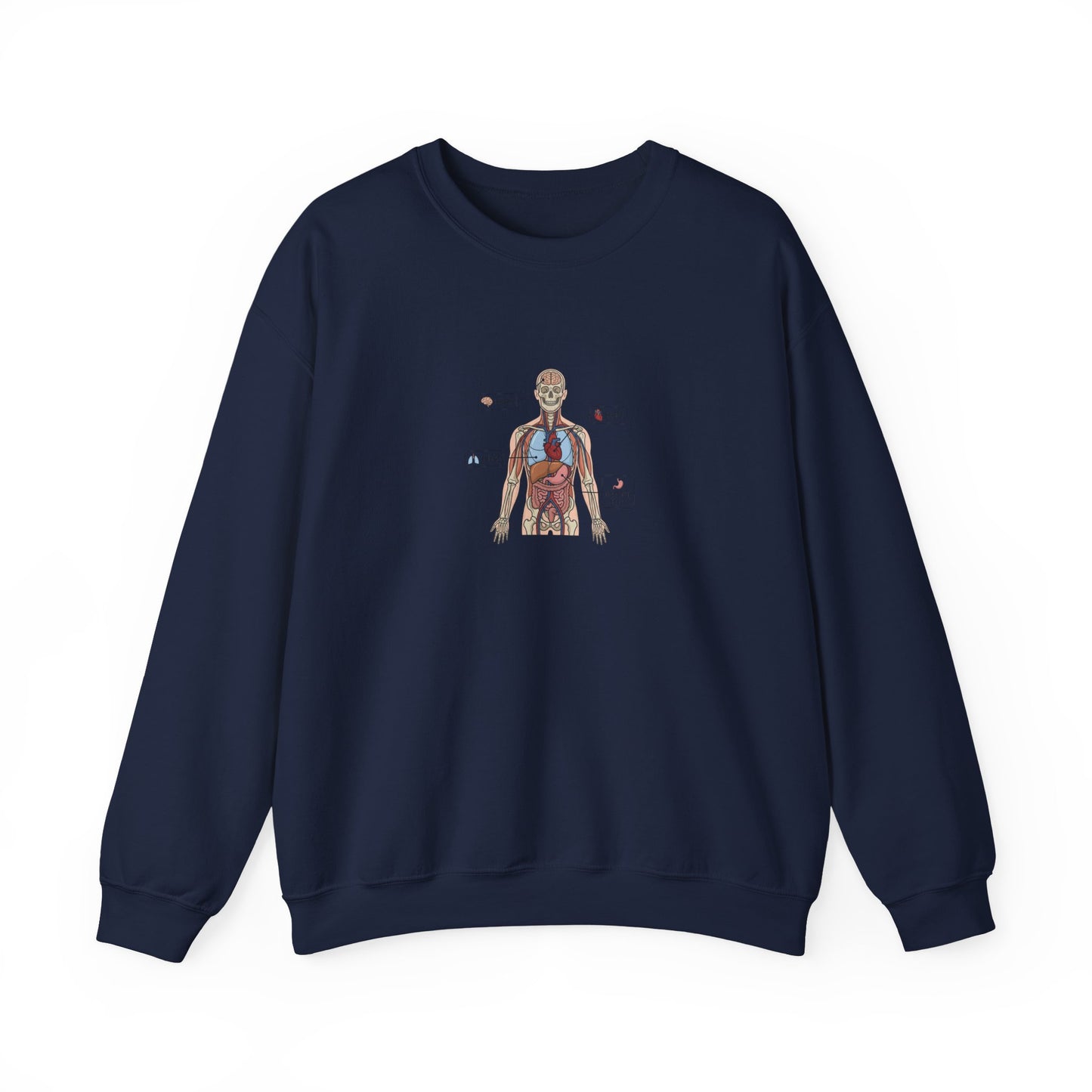 Anatomy Study Crewneck Sweatshirt — Human Anatomy Diagram for Medical Students