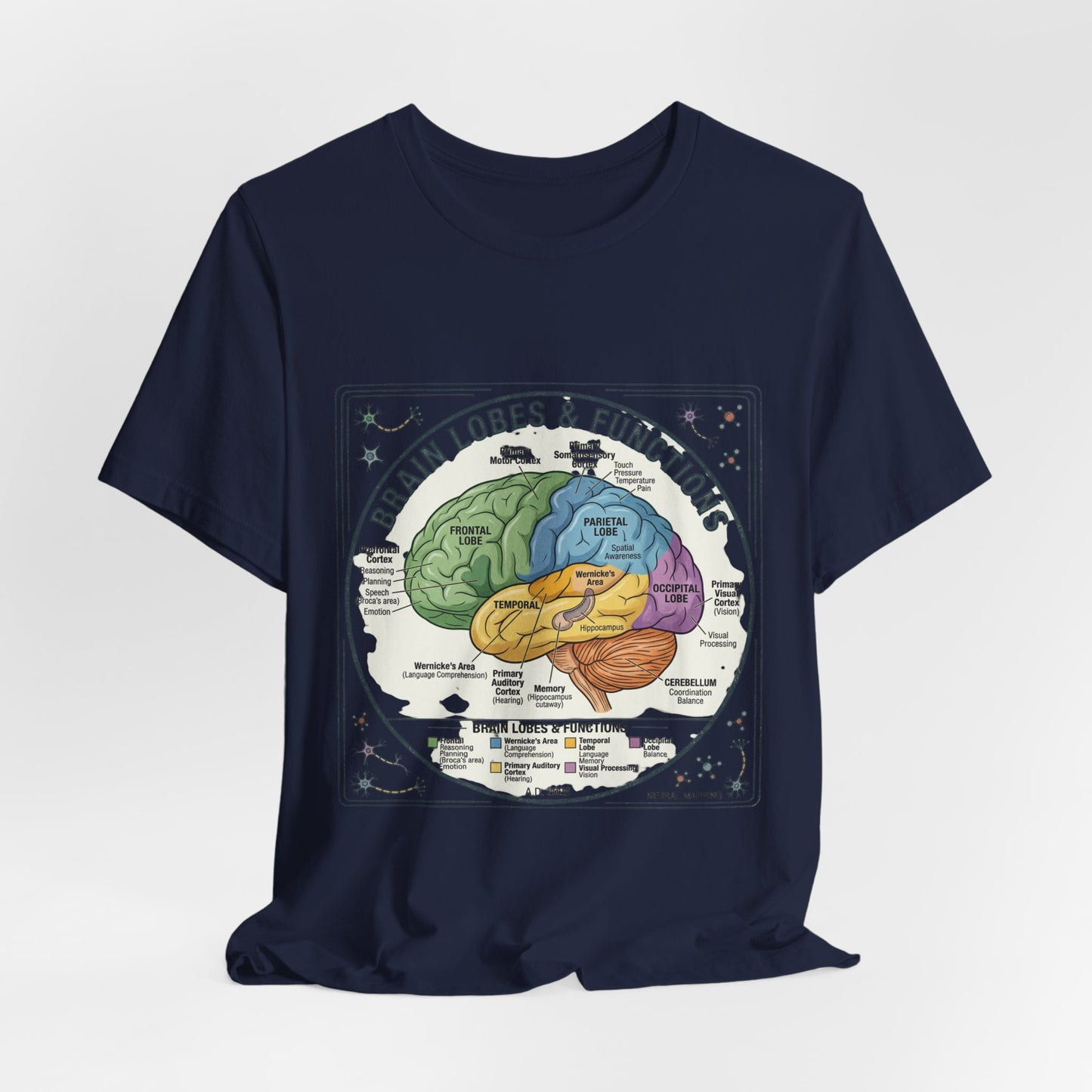 Brain Lobes & Functions T-Shirt | 250th Fourth of July, Patriotic Milestone