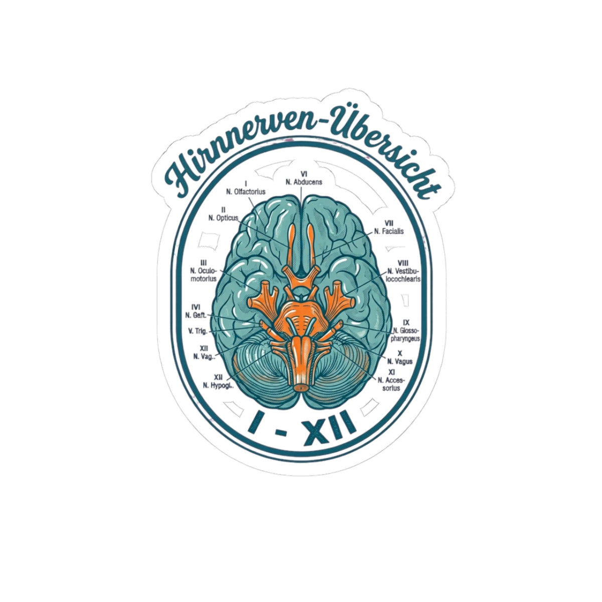 Anatomical Brain Illustration Kiss-Cut Stickers | Book Girl Summer, Literary Aesthetic