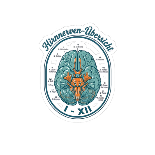 Anatomical Brain Illustration Kiss-Cut Stickers | Book Girl Summer, Literary Aesthetic