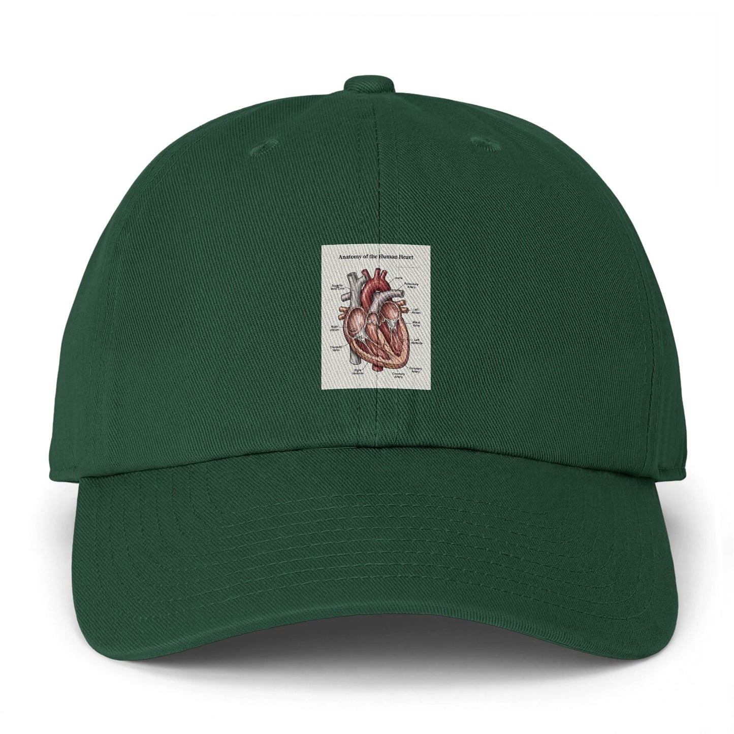 Anatomical Heart Embroidered Cap — Vintage Medical Illustration Dad Hat