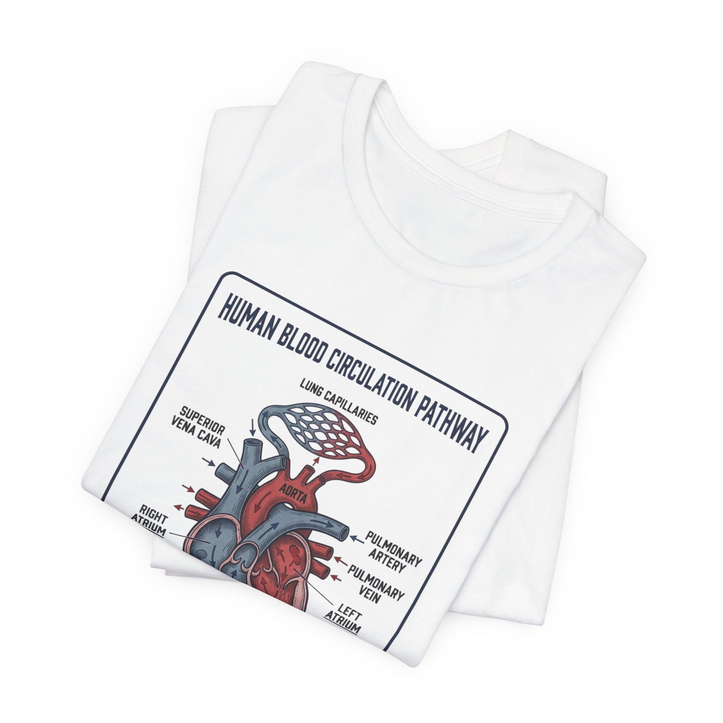 Human Blood Circulation Diagram Tee | 250th 4th of July Patriotic Anatomy