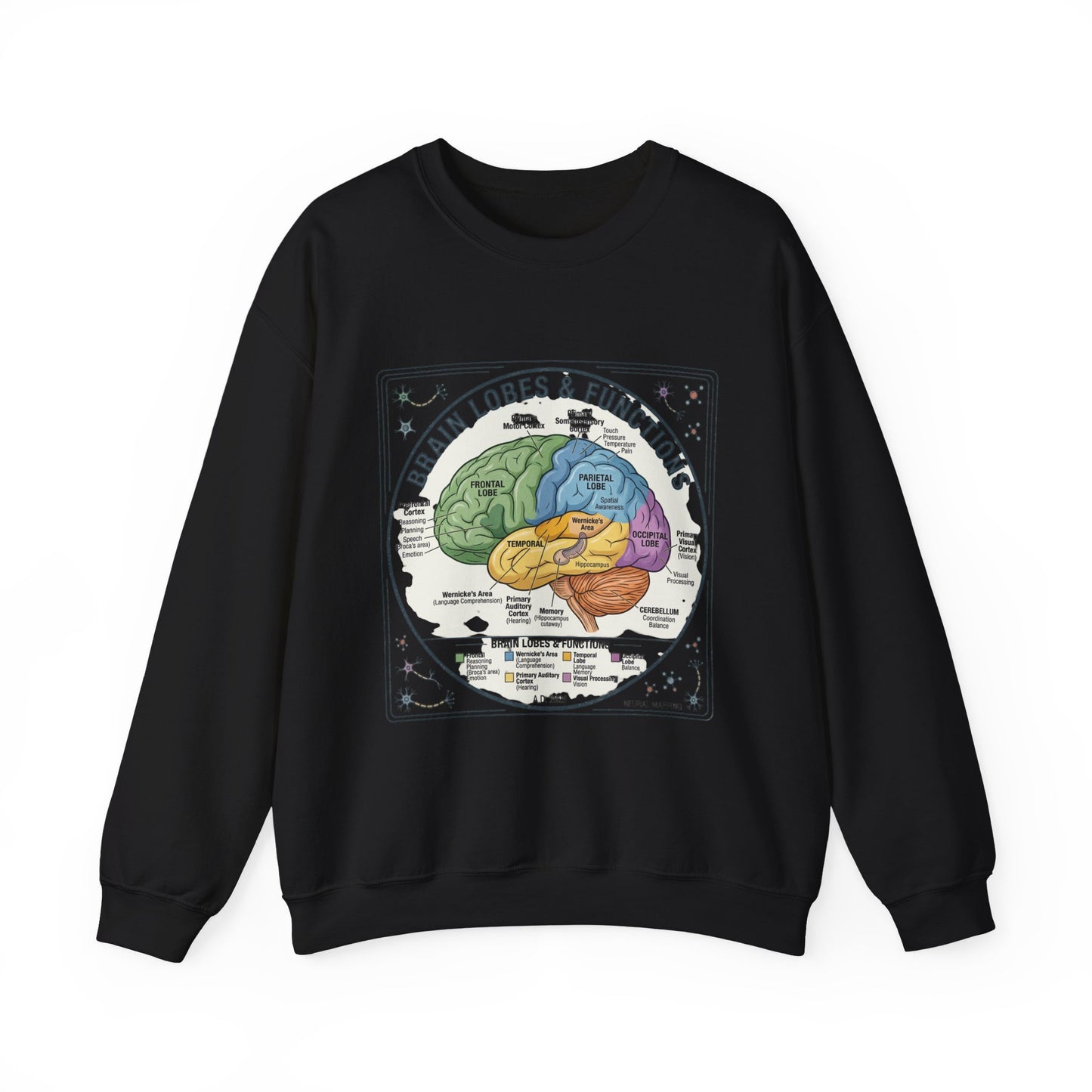 Brain Lobes Diagram Sweatshirt | 250th 4th of July Patriotic Milestone