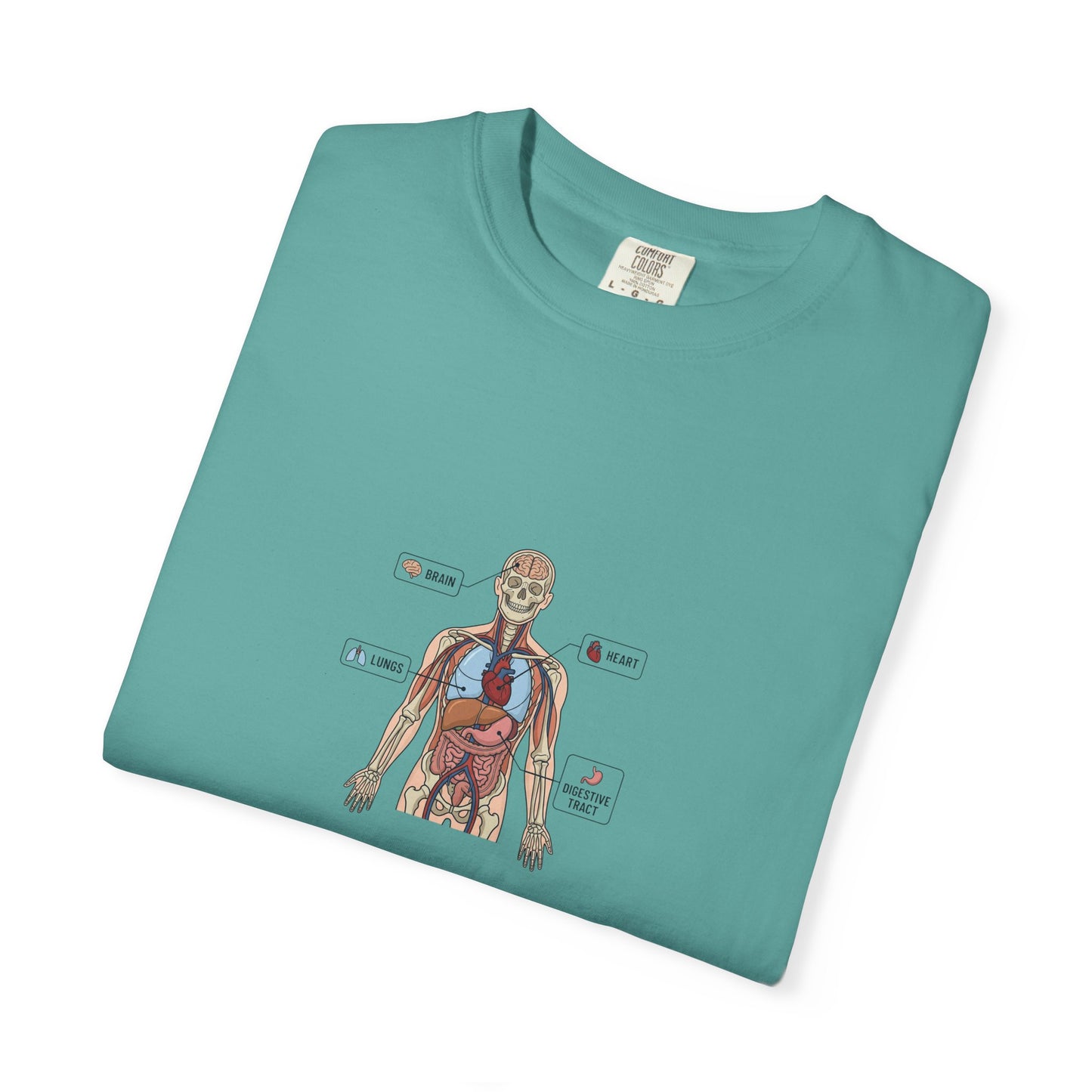 Human Anatomy Diagram T-Shirt — Medical Student Anatomy Tee
