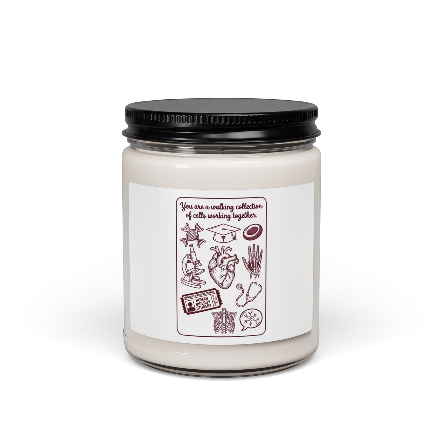 Philadelphia Baseball Pride Candle | City Fan Soy Candle, Local Sportswear Vibe