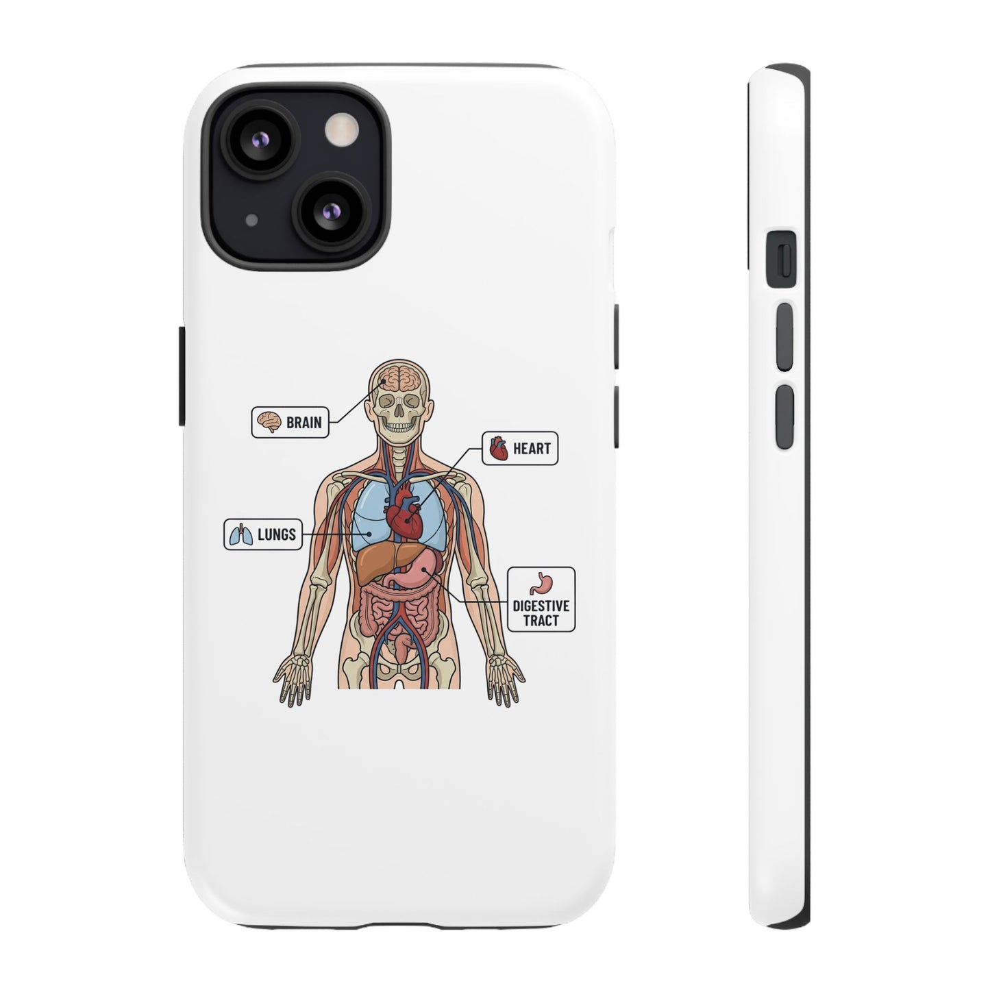 Anatomy Case — Medical Student Human Anatomy Study Aid