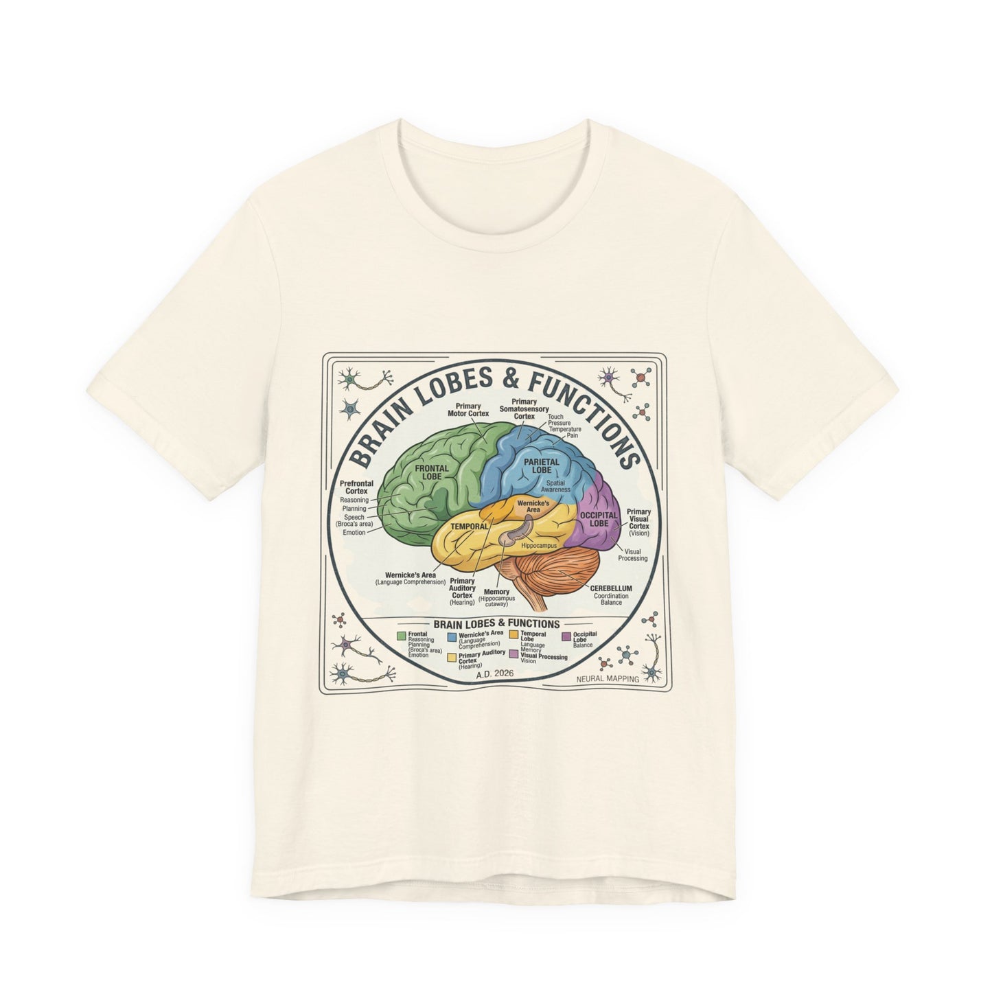 Brain Lobes & Functions T-Shirt | 250th Fourth of July, Patriotic Milestone