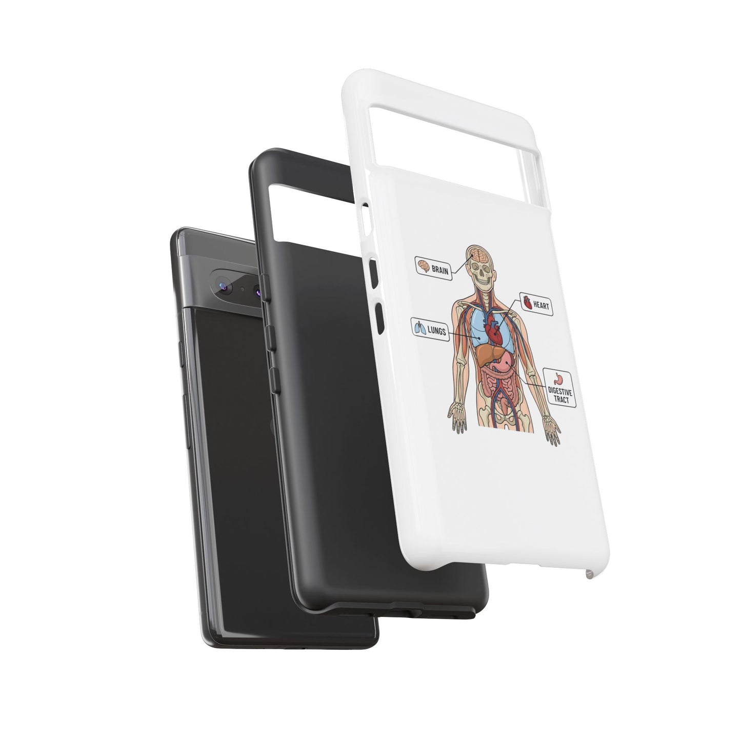Anatomy Case — Medical Student Human Anatomy Study Aid
