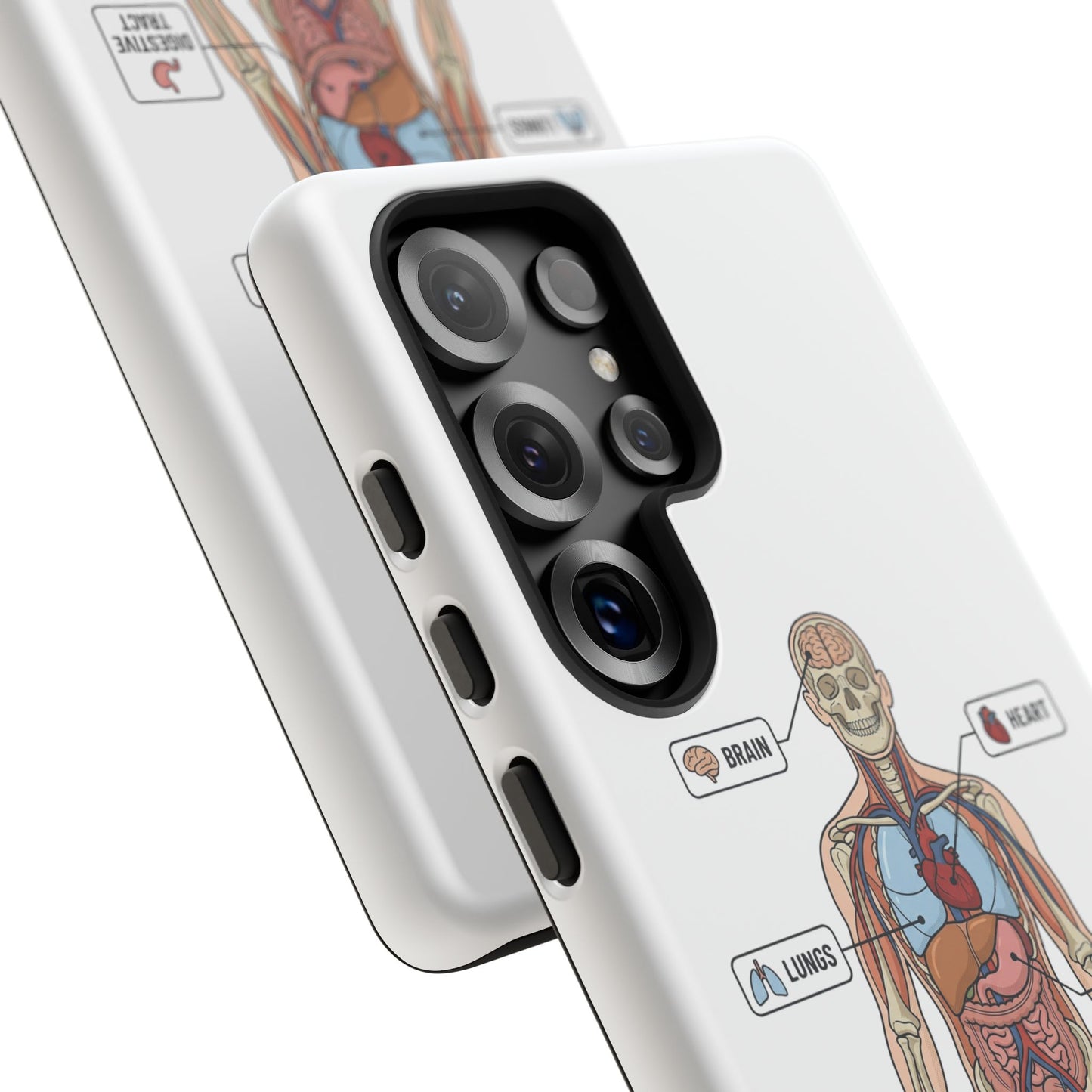 Anatomy Case — Medical Student Human Anatomy Study Aid