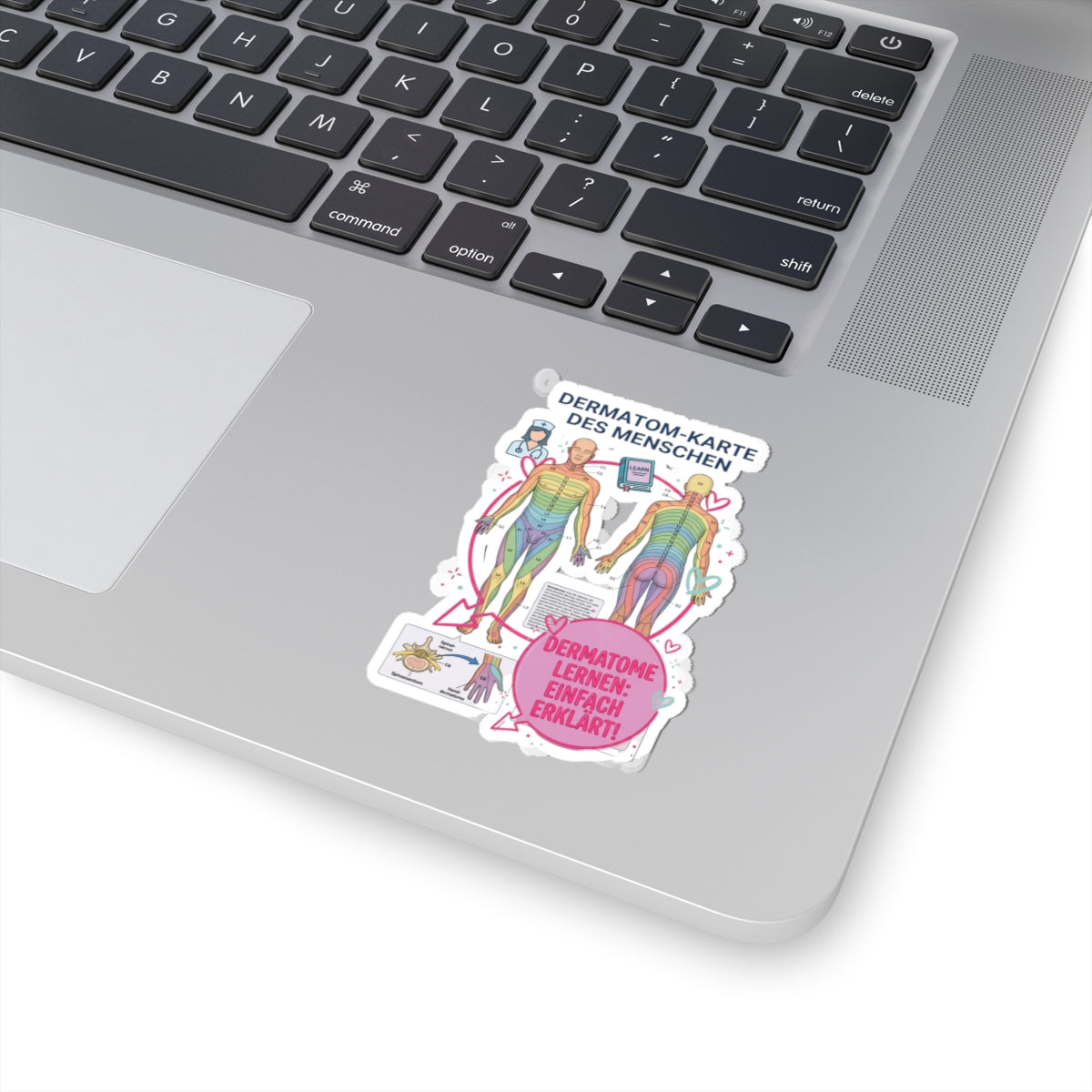 Dermatomes Anatomy Sticker | Kiss-Cut, Medical Chart, Learning Decal