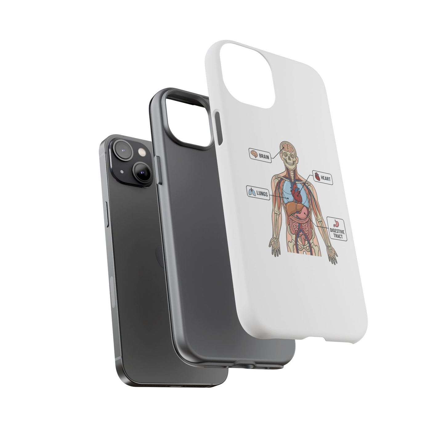 Anatomy Case — Medical Student Human Anatomy Study Aid