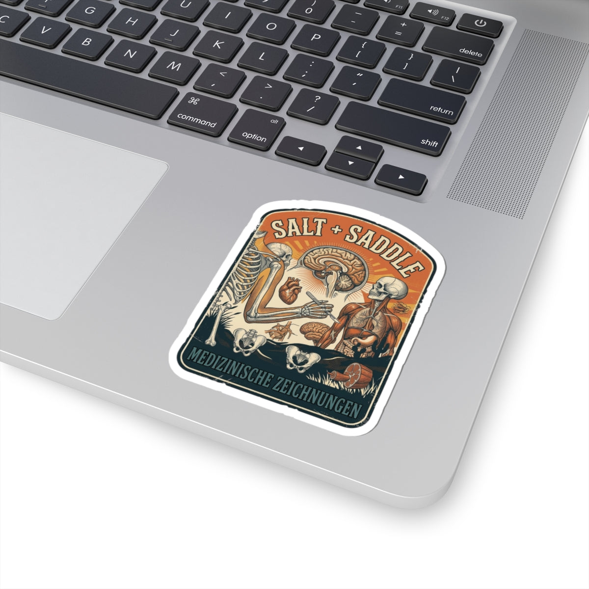 Salt & Saddle Anatomy Sticker | Country Aesthetic Western Cowgirl