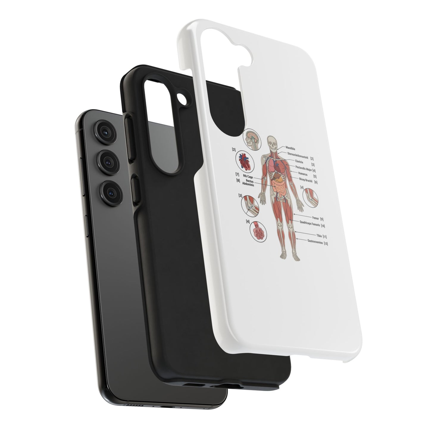 Anatomy Study Phone Case — Human Anatomy Diagram for Medical Students