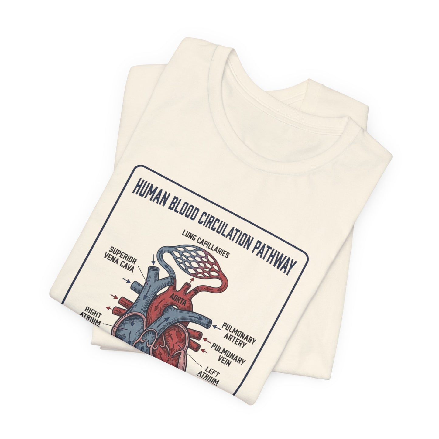 Human Blood Circulation Diagram Tee | 250th 4th of July Patriotic Anatomy