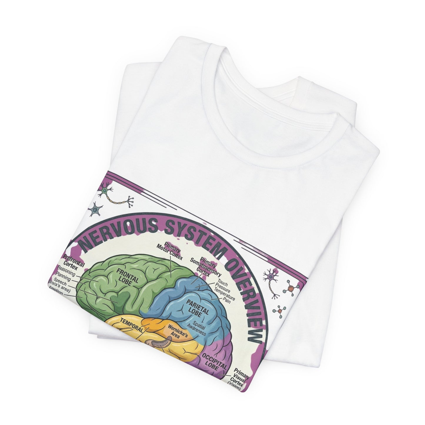 Brain Anatomy Diagram Tee | 250th Independence Day, Patriotic Milestone