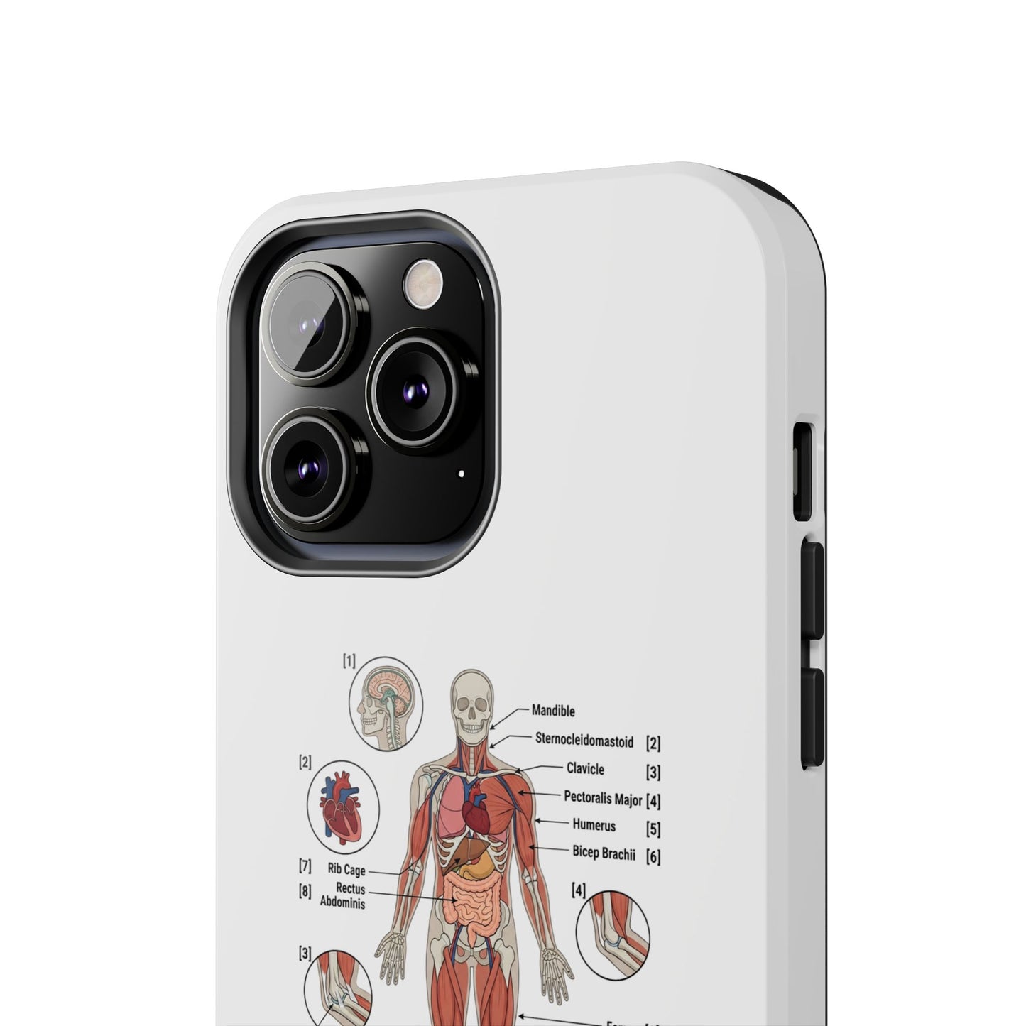 Anatomy Study Phone Case — Human Anatomy Diagram for Medical Students