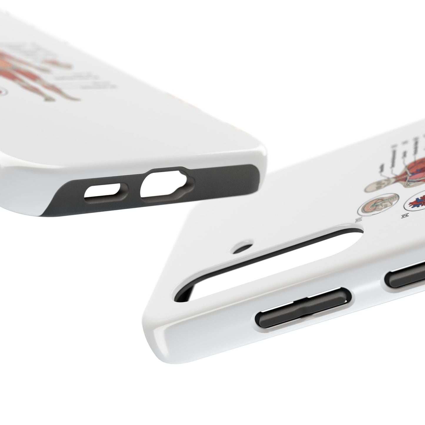 Anatomy Study Phone Case — Human Anatomy Diagram for Medical Students