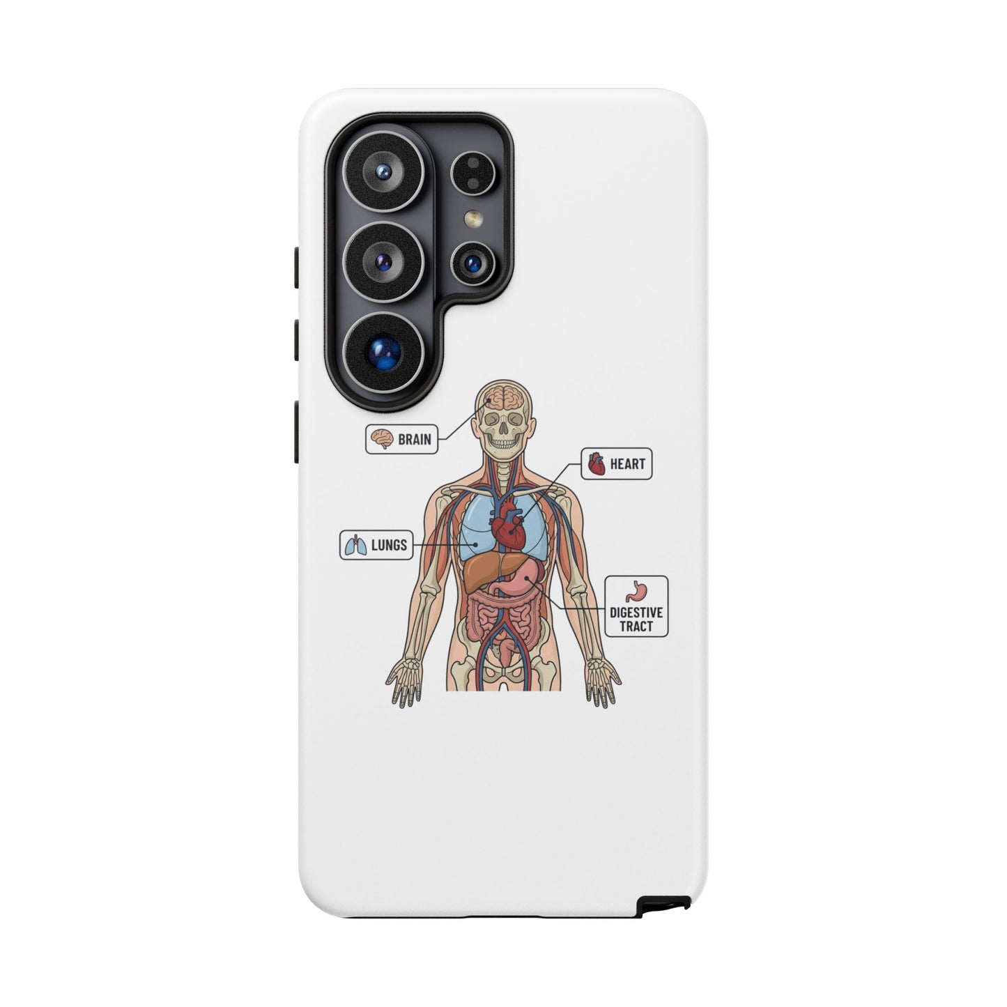 Anatomy Case — Medical Student Human Anatomy Study Aid