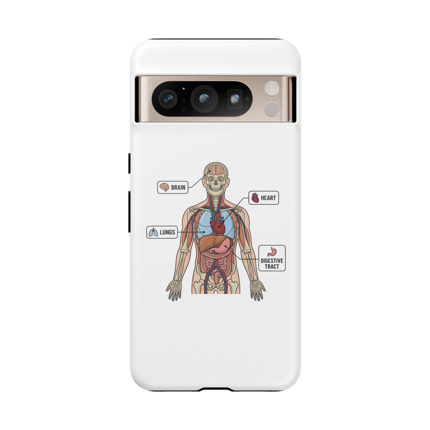 Anatomy Case — Medical Student Human Anatomy Study Aid