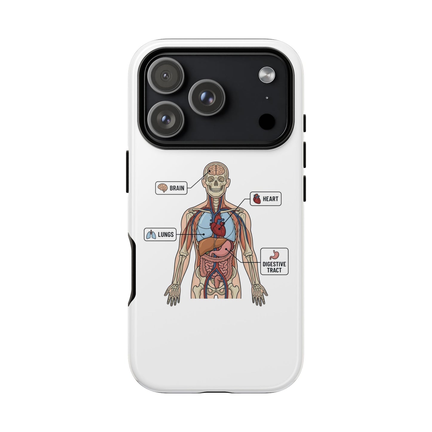 Anatomy Case — Medical Student Human Anatomy Study Aid