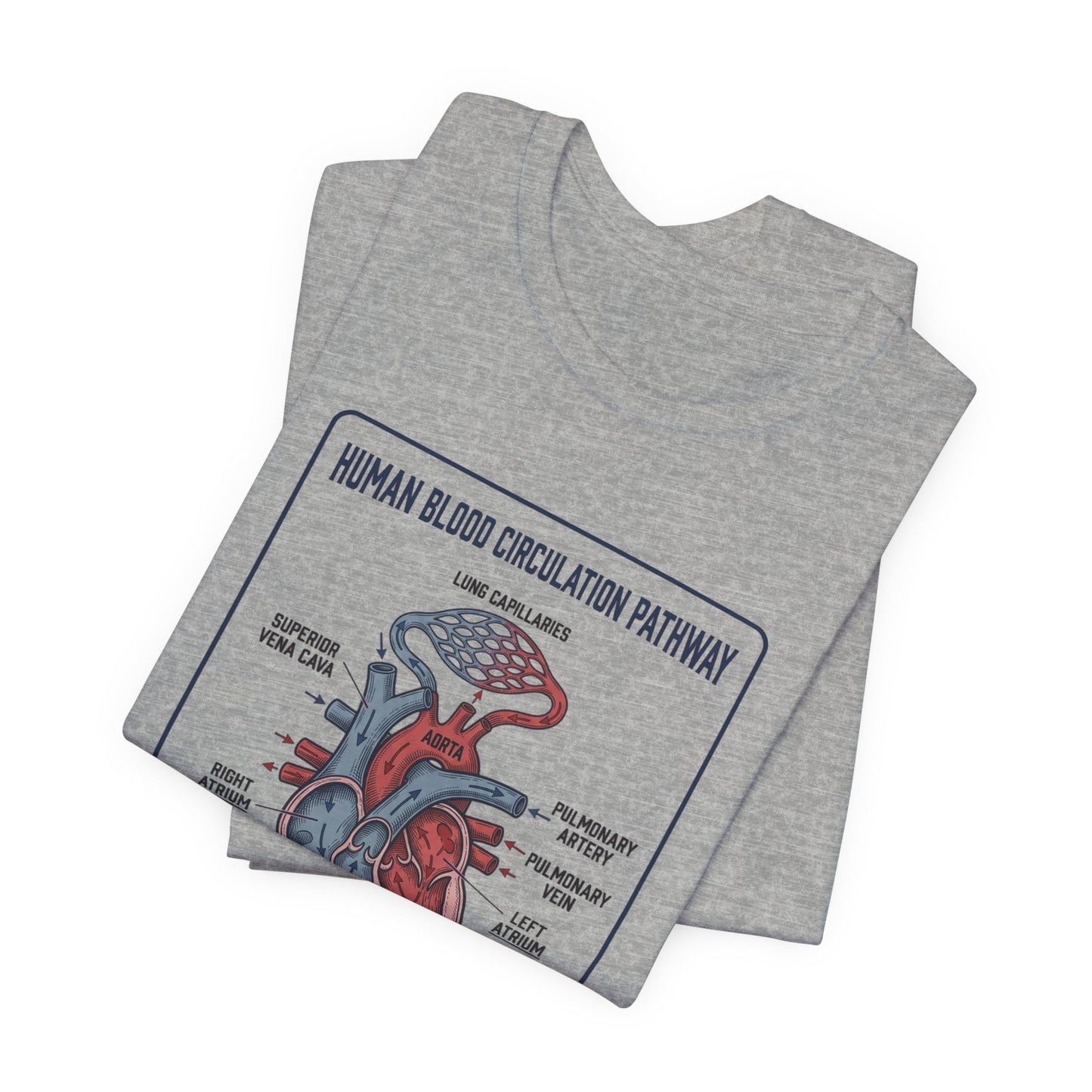 Human Blood Circulation Diagram Tee | 250th 4th of July Patriotic Anatomy