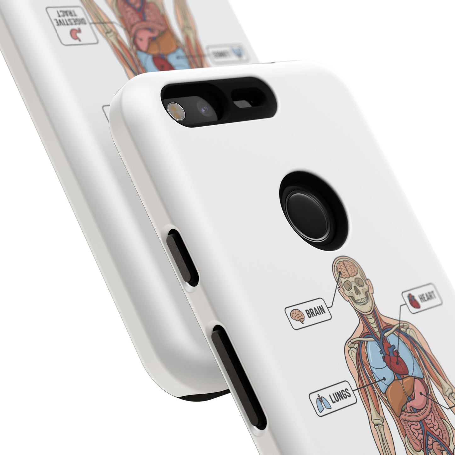Anatomy Case — Medical Student Human Anatomy Study Aid