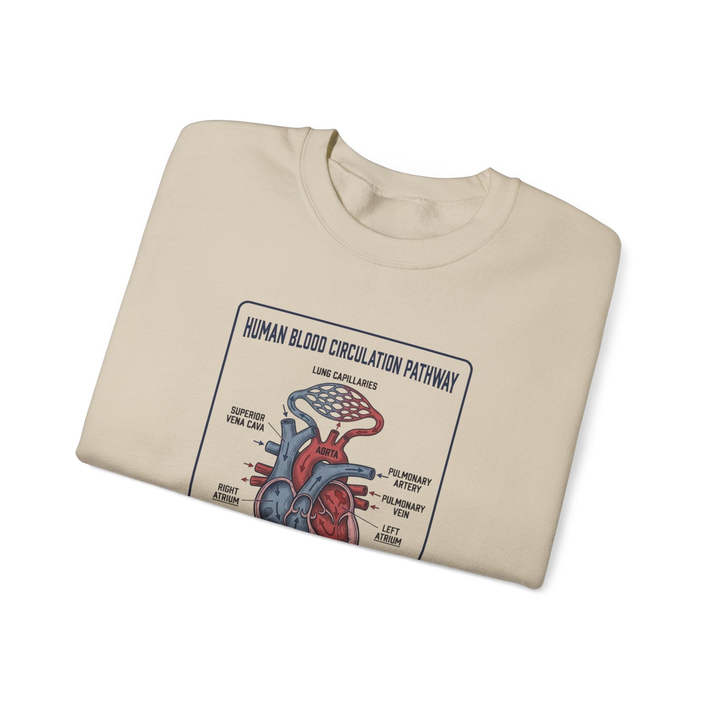 Anatomical Heart Diagram Sweatshirt | 250th 4th of July Patriotic Milestone