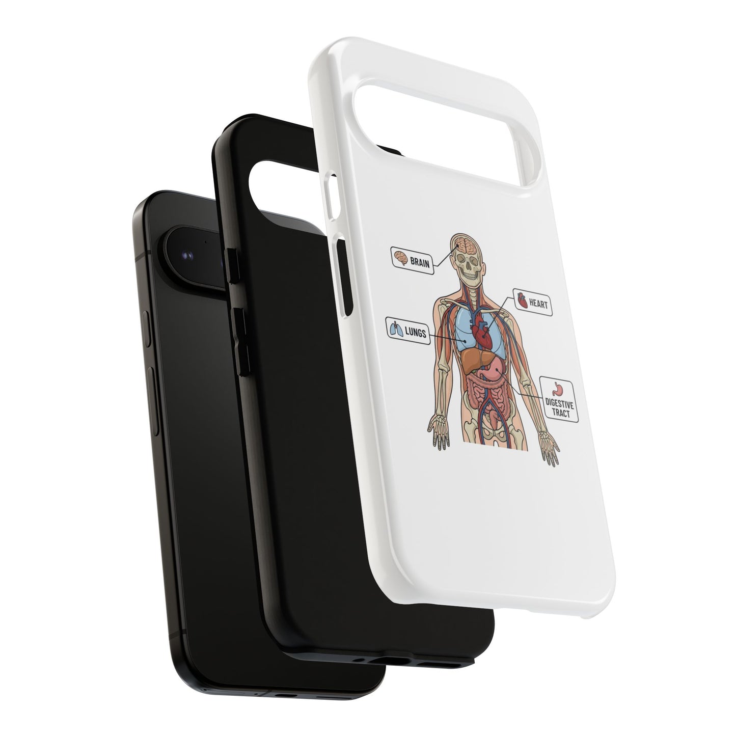 Anatomy Case — Medical Student Human Anatomy Study Aid