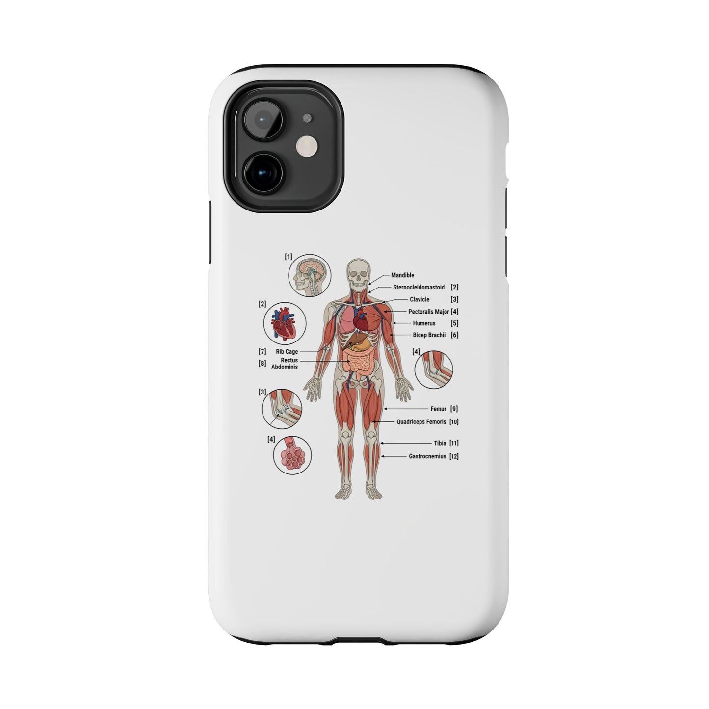 Anatomy Study Phone Case — Human Anatomy Diagram for Medical Students