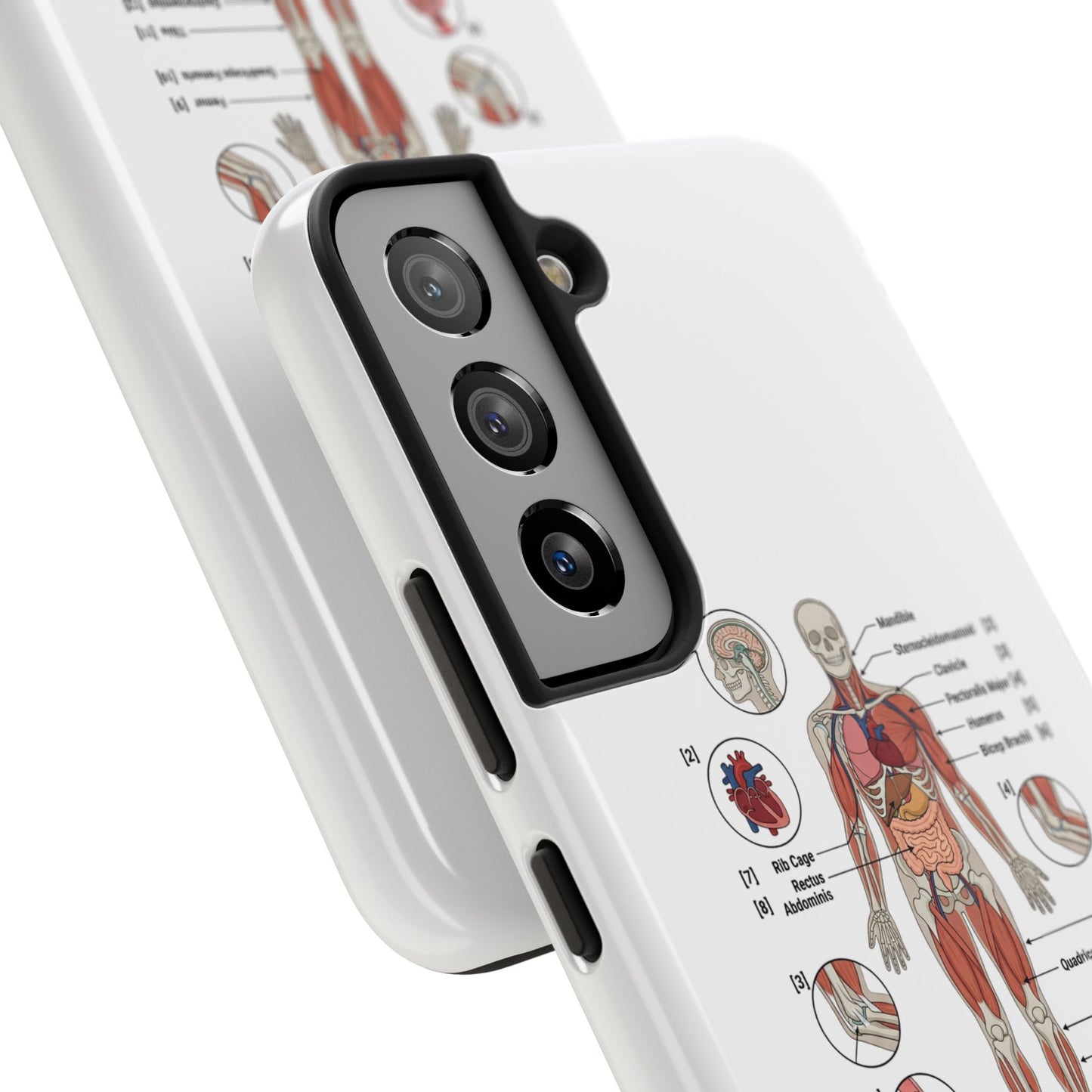 Anatomy Study Phone Case — Human Anatomy Diagram for Medical Students