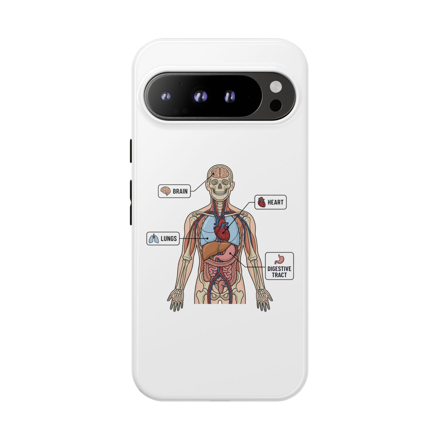 Anatomy Case — Medical Student Human Anatomy Study Aid