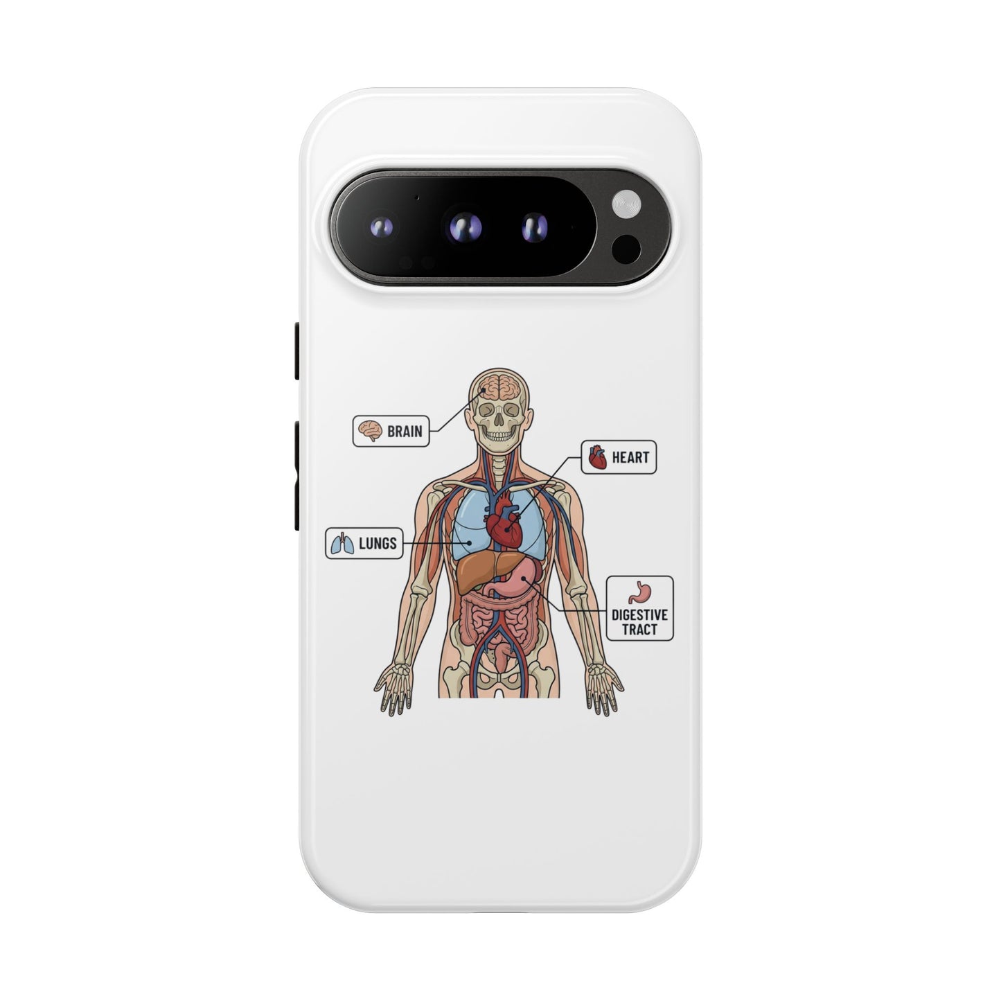 Anatomy Case — Medical Student Human Anatomy Study Aid