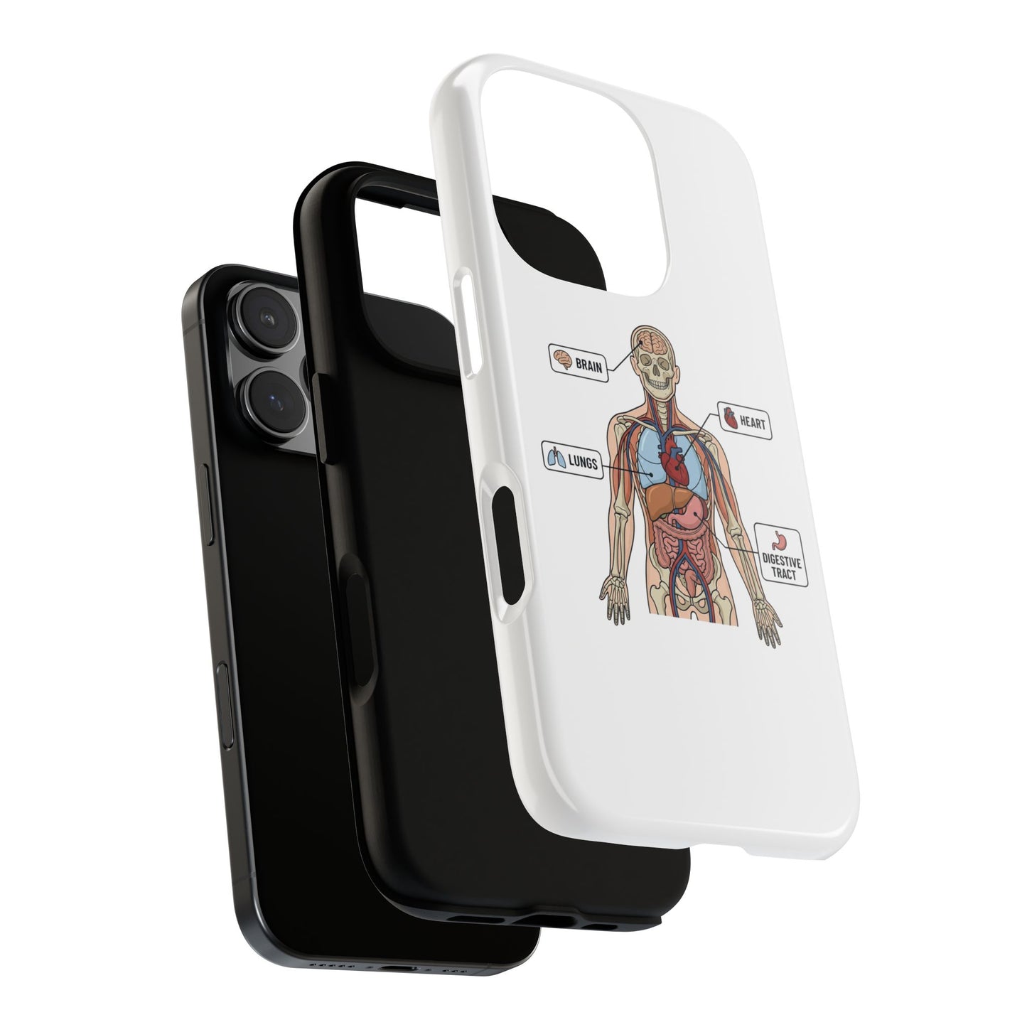 Anatomy Case — Medical Student Human Anatomy Study Aid
