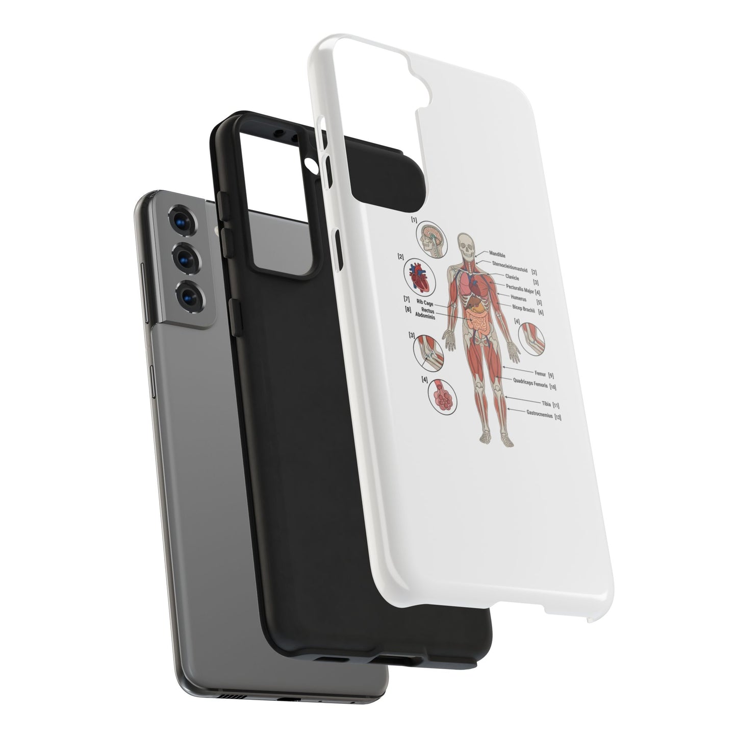 Anatomy Study Phone Case — Human Anatomy Diagram for Medical Students