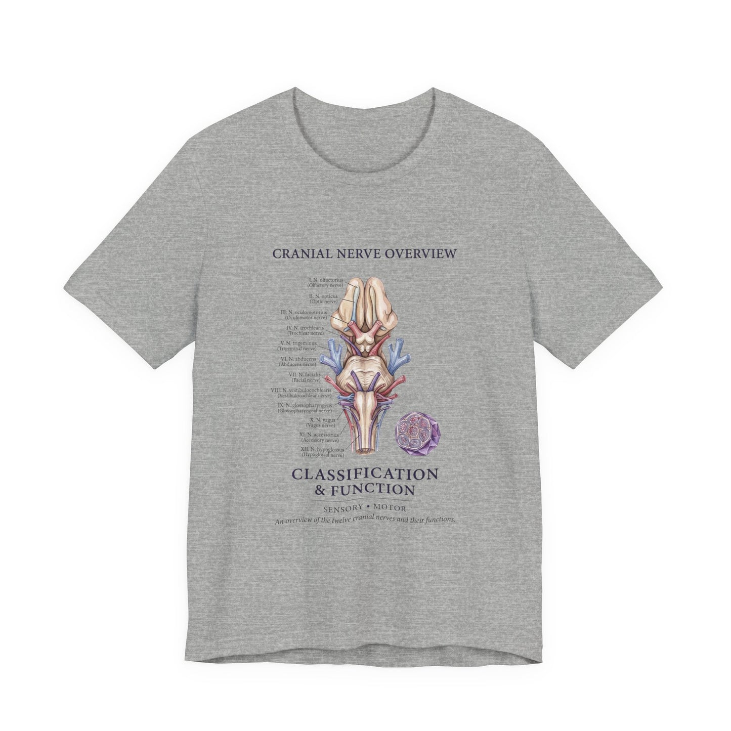 Cranial Nerve Anatomy Tee | Botanical Medical Illustration, Birth Flower Style