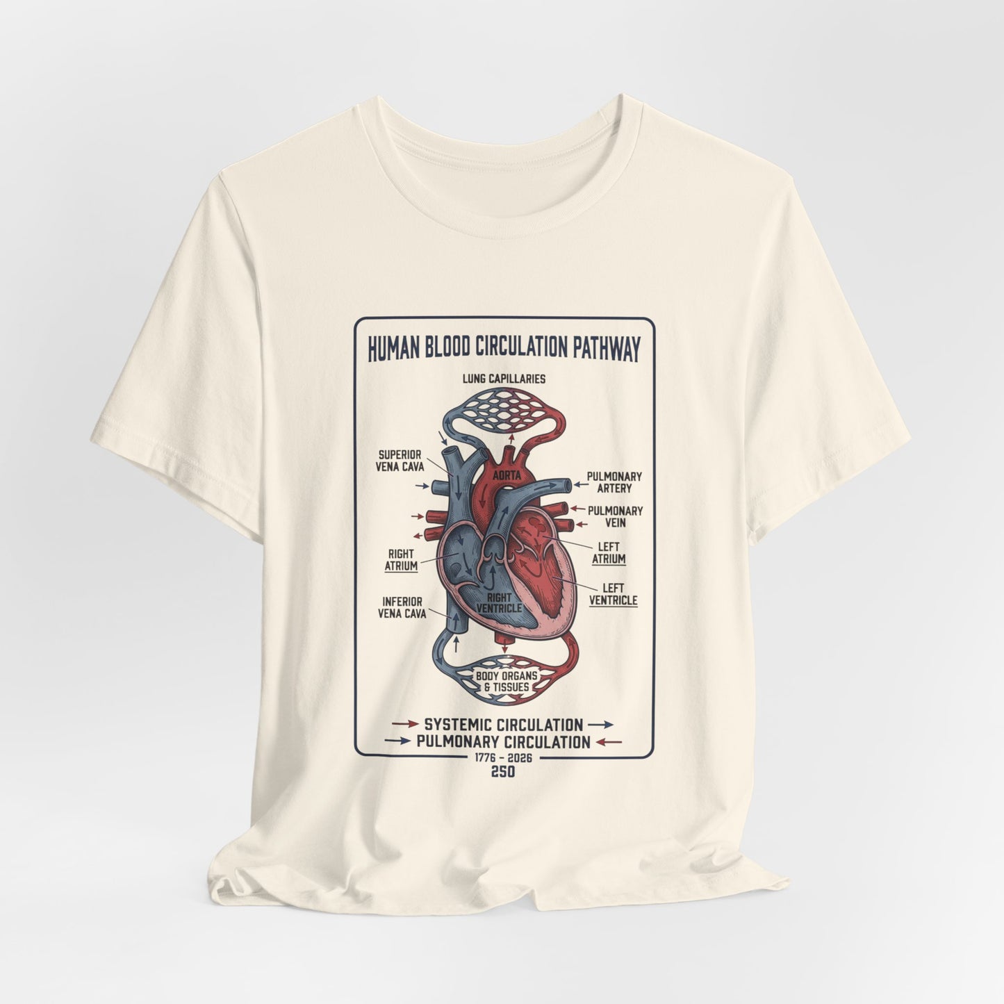 Human Blood Circulation Diagram Tee | 250th 4th of July Patriotic Anatomy