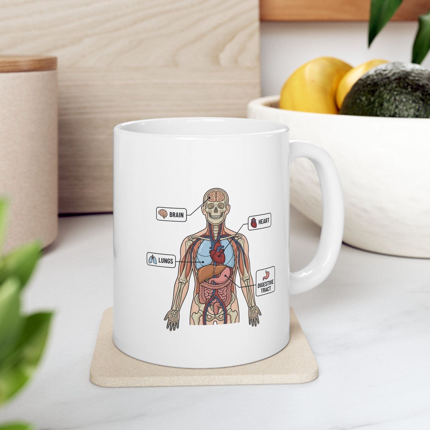 Anatomy Study Ceramic Mug — Human Anatomy for Medical Students (11oz, 15oz)