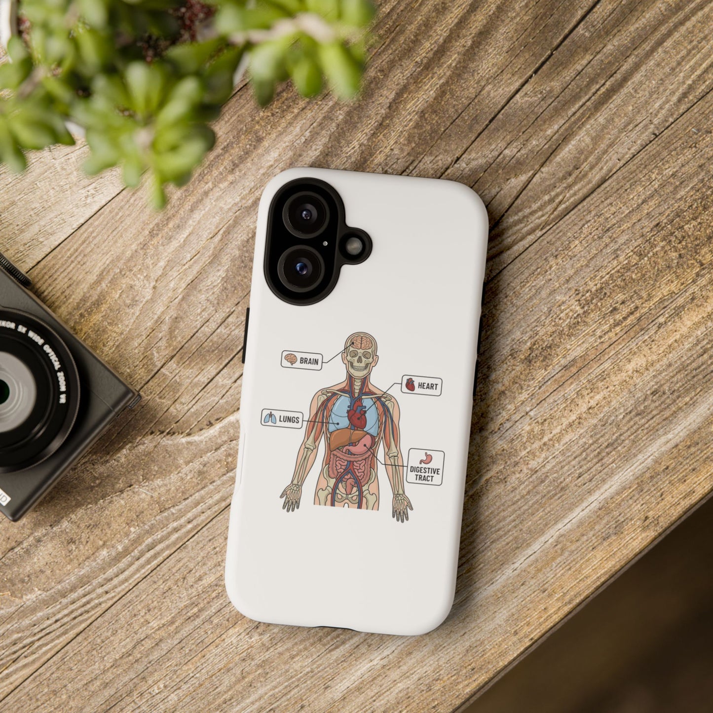 Anatomy Case — Medical Student Human Anatomy Study Aid