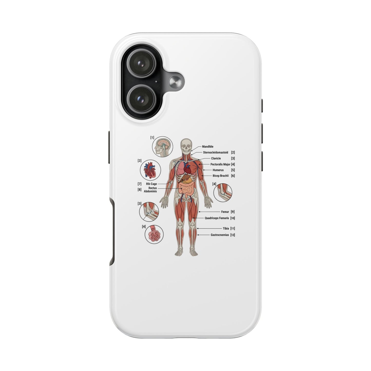 Anatomy Study Phone Case — Human Anatomy Diagram for Medical Students