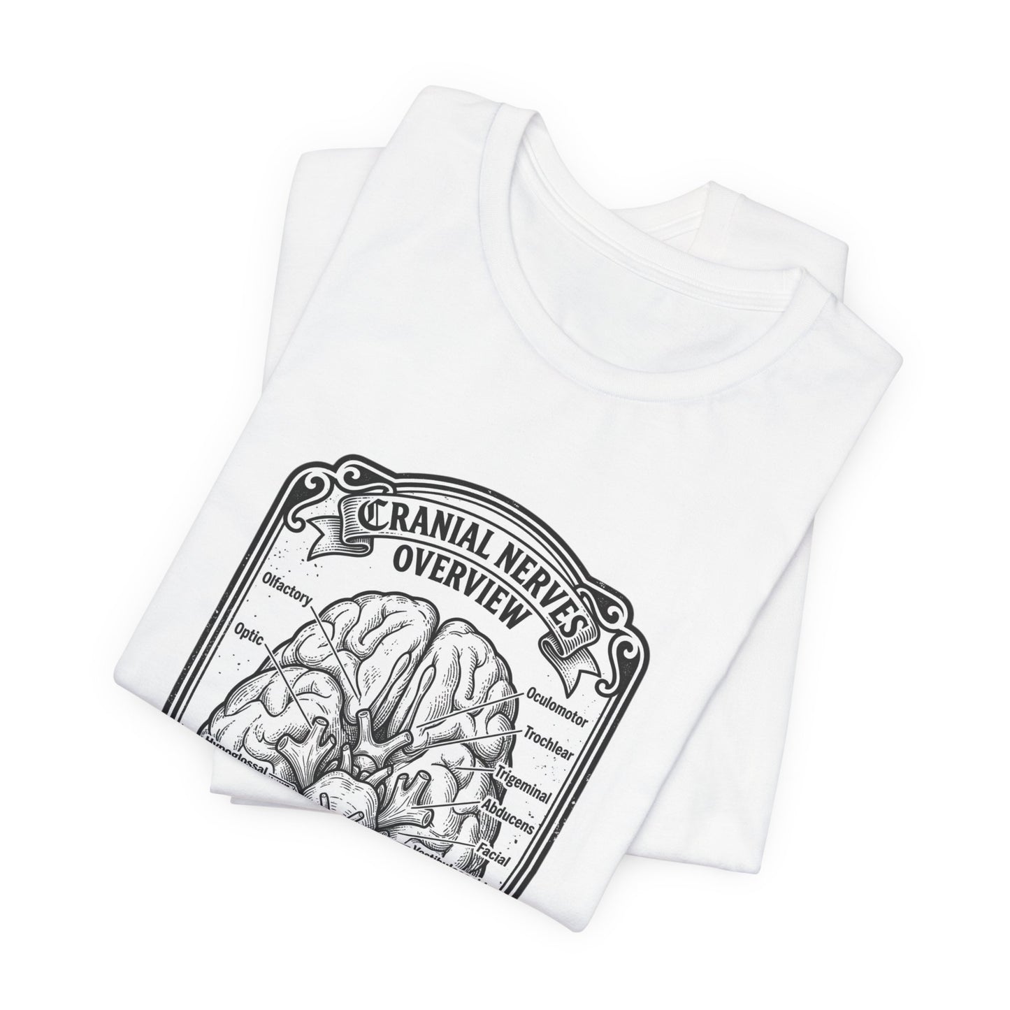 Cranial Nerves Illustration Tee | People Over Profit, Values-Led Apparel